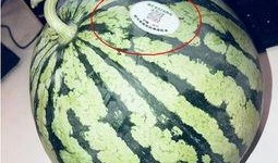 安国网红吃瓜,揭秘网络红人的幕后故事