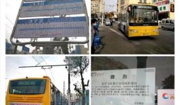 青岛公交车爆料视频最新,爆料视频揭示乘车体验改革与挑战