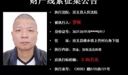 崇义爆料行凶案件视频,视频揭露惊人真相