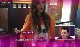 河南爆料女孩事件视频完整版,真相与反思