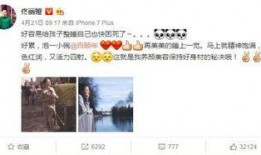 蘑菇黑料爆料事件视频,揭秘网络舆论背后的真相