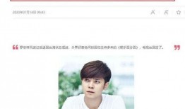 坏兔子爆料李振宁视频,真相与争议并存