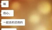 热门爆料不支持视频吗,为何不支持视频内容？深度解析背后的原因