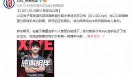 缅甸知情人士爆料视频,独家视频曝光惊人内幕