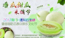 网红吃瓜大集合集视频,一场视觉与味蕾的双重盛宴