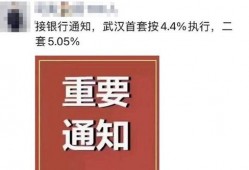 武汉最早爆料新闻事件是什么,揭开疫情序幕的惊人瞬间