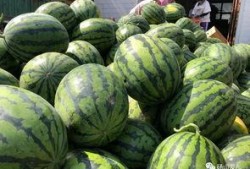 砀山最新吃瓜爆料新闻视频,视频揭秘惊人内幕！
