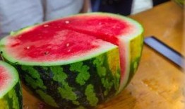 高校吃瓜免费资源,免费资源大揭秘，学子福利一网打尽