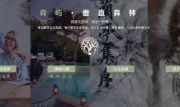 中国房子爆料视频,爆料视频深度剖析