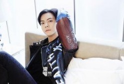 今日爆料陈伟霆视频全集,揭秘全貌背后的惊人真相