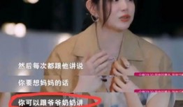 刘大锤爆料董璇视频,事件背后真相揭秘