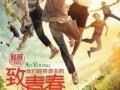 致青春全集在线观看,青春岁月里的爱与成长