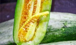 各种网红吃瓜的有谁,揭秘娱乐圈幕后大瓜