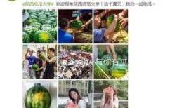 高校吃瓜免费资源,免费资源大揭秘，学子福利一网打尽