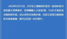 南宁逃单爆料案件最新消息,追踪嫌疑人，还原事件真相