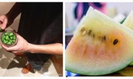 免费吃瓜说说,揭秘网络热点的幕后故事