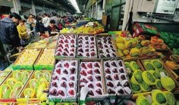 海南水果市场爆料案件最新,揭露背后利益链与食品安全危机