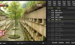 华龙卫视直播在线观看,实时掌握全球资讯，一键观看精彩瞬间