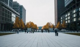 熊猫小贝爆料最新消息,最新热点事件揭秘